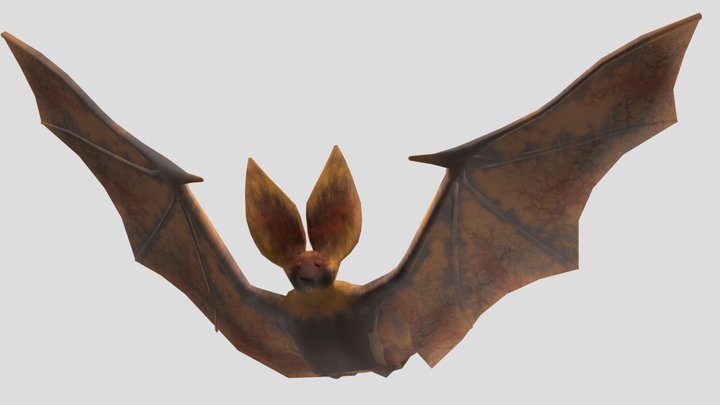 Bat 3D Model