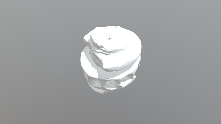 Roller 3D Model