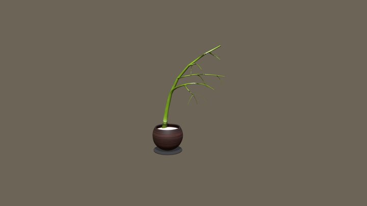 wk8_Ryan_Walker_Bamboo_plant 3D Model