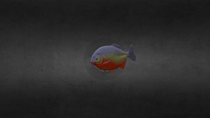 Piranha 3D Model