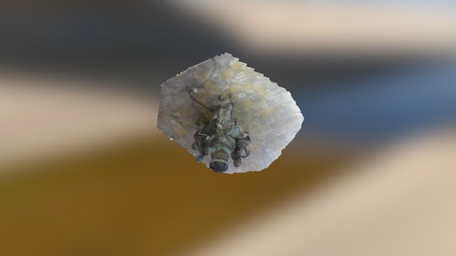 wow 3D Model