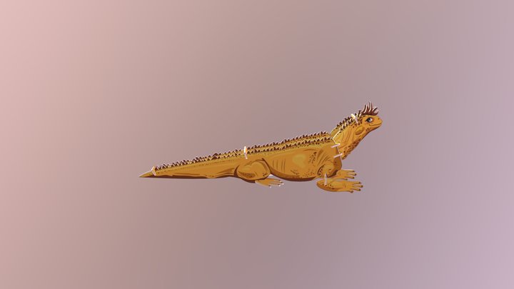 Iguana de Galapagos 3D Model