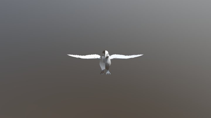 Panfilo 3D Model