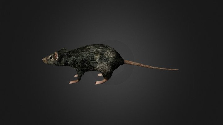 Medhue Rat for Unity3D 3D Model