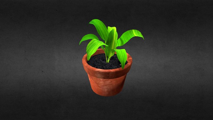 Plant on pot 3D Model