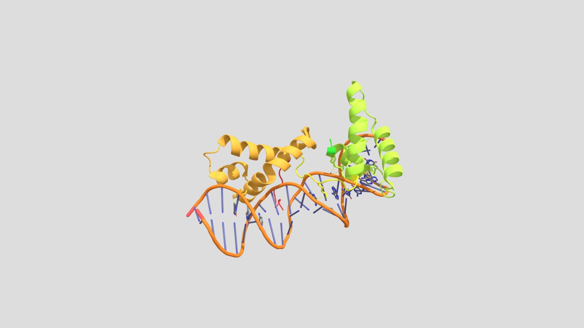 DNA Kinks Of The CENP-B Protein DNA Complex - Download Free 3D Model By ...