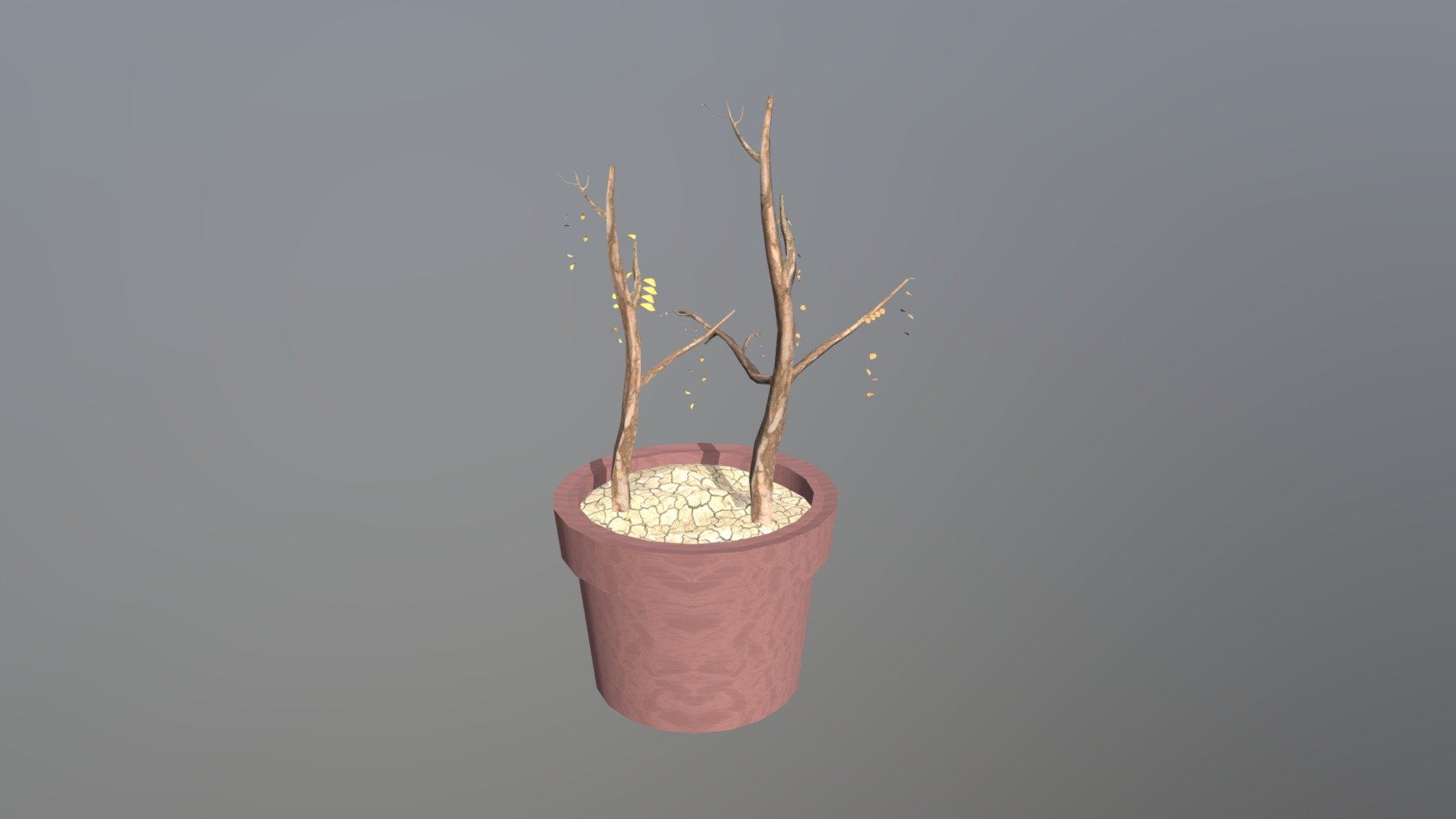 hw 08 plant