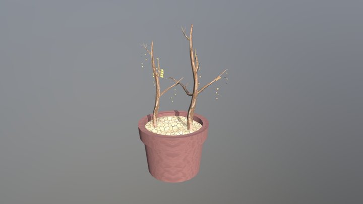 hw 08 plant 3D Model