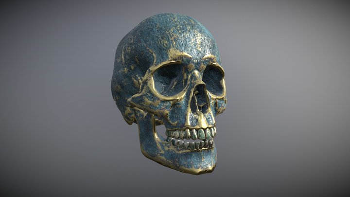 Human Skull in weathered bronze 3D Model