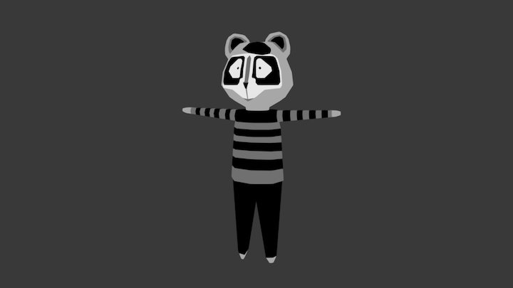 Raccoon Character 3D Model