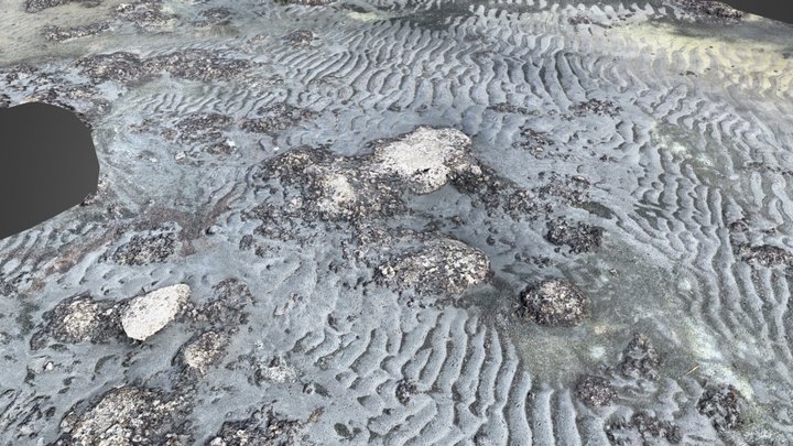 Great salt lake microbialite and oolitic ripples 3D Model
