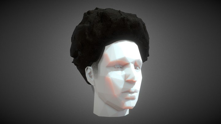 Nappy Afro 3D Model