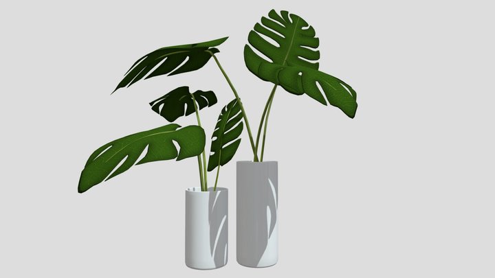 Pot Plant 3D Model