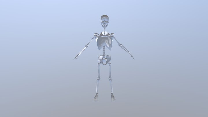 Skeleton Lowpoly 3D Model