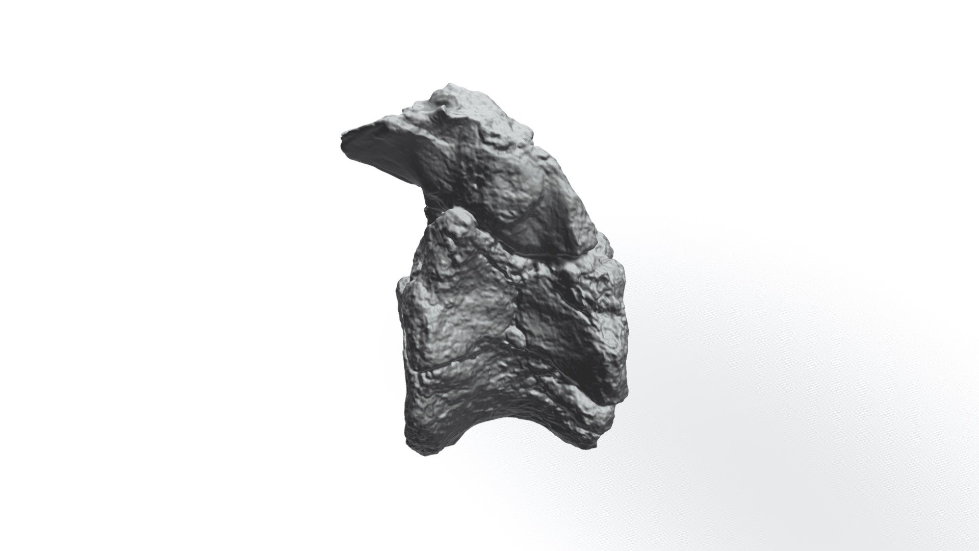 UMNHVP28350 Invictarx Mid Dorsal Vertebra 1 - Download Free 3D model by ...