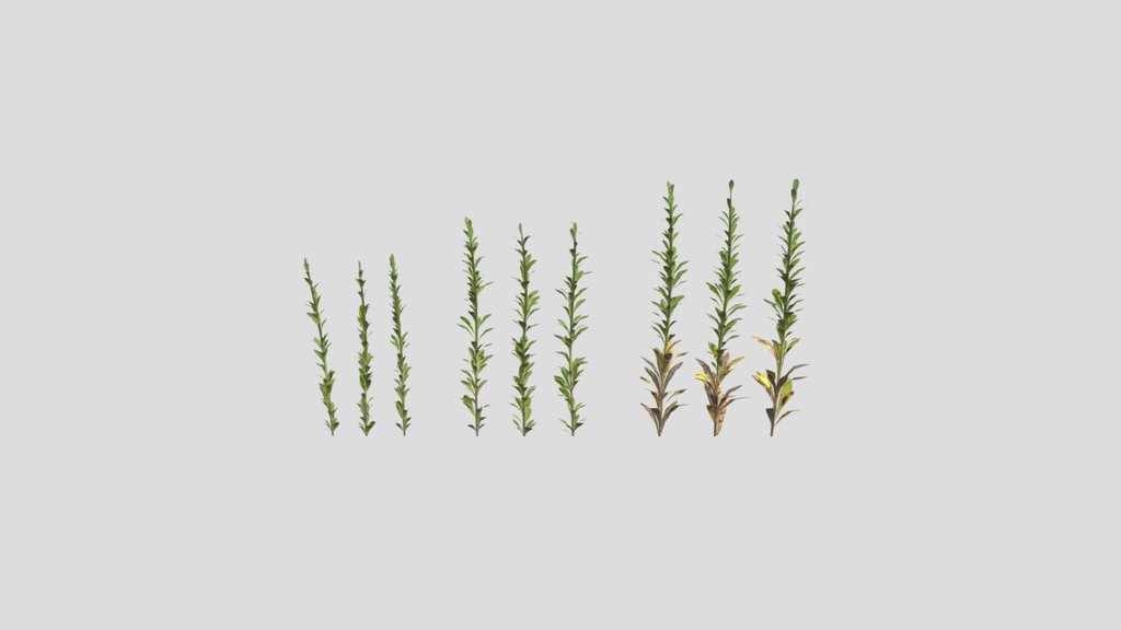 Small Weeds