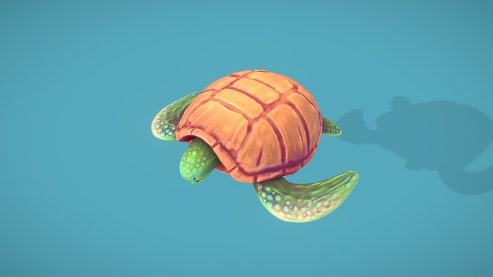 Turtle 3D models - Sketchfab