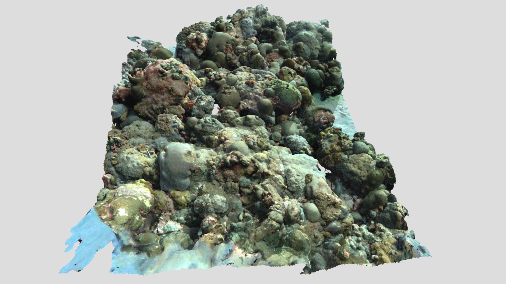 Flower Garden Banks Transect 2 cropped — Sketchfab embed 3D viewer