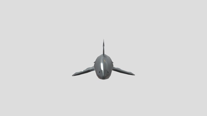 Great white shark 3D Model