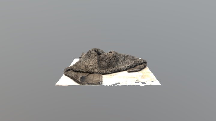 Dirty Rag 4 3D Model