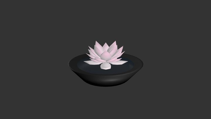 Lotus Pot Plant 3D Model