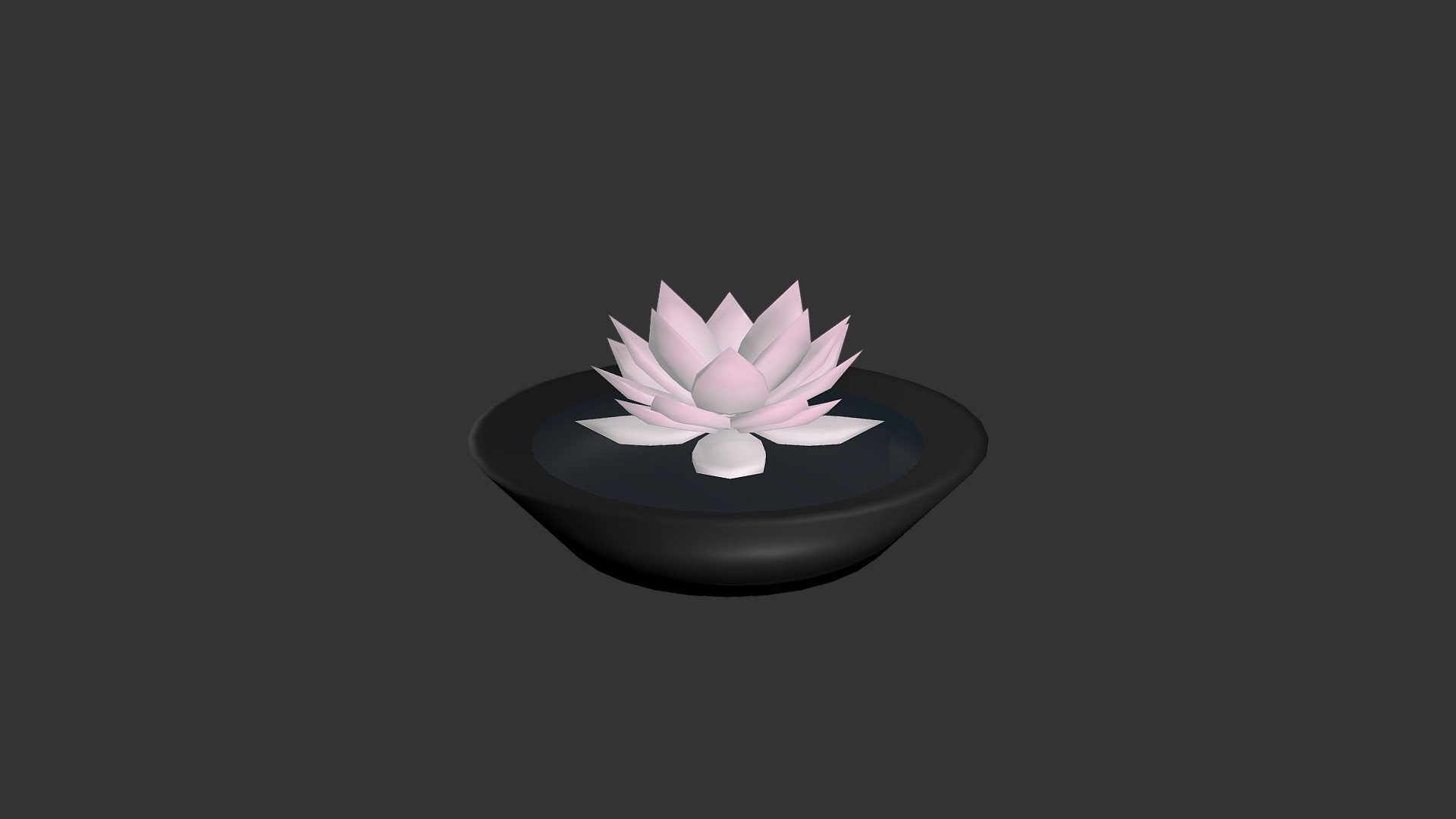 Lotus Pot Plant
