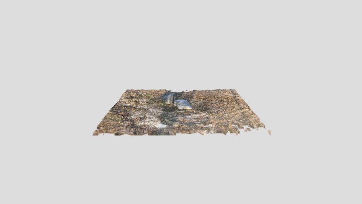 石头—落叶 3D Model