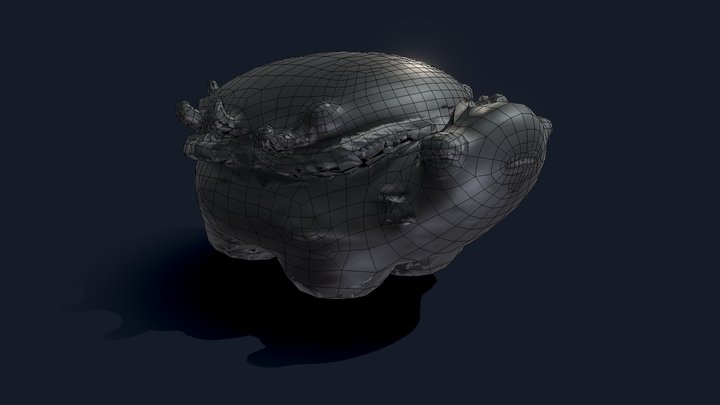 Tortuga retopologizada 3D Model