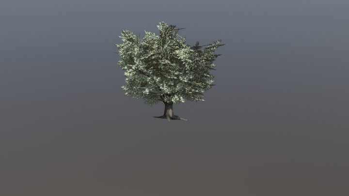 Tree 3D Model
