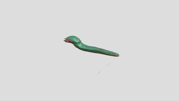 snakebite – Kostenloses 3D-Modell STL