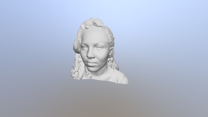 FACES 3D Model