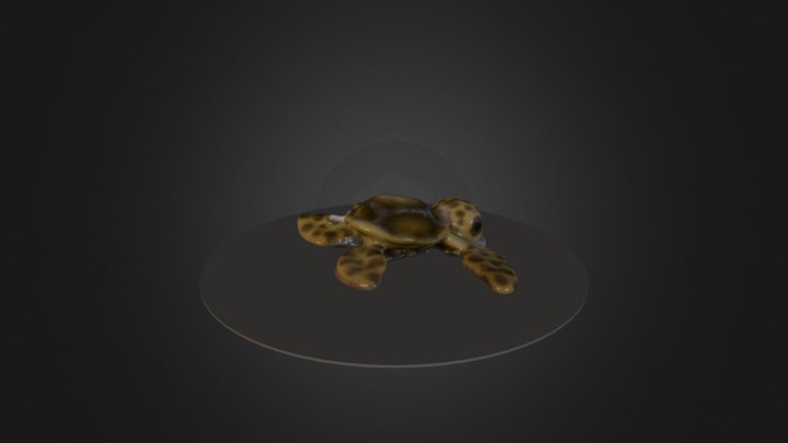 3d Scan by Printmein3d 3D Model