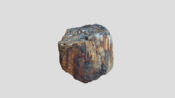 Large petrified wood tree trunk 3D Model