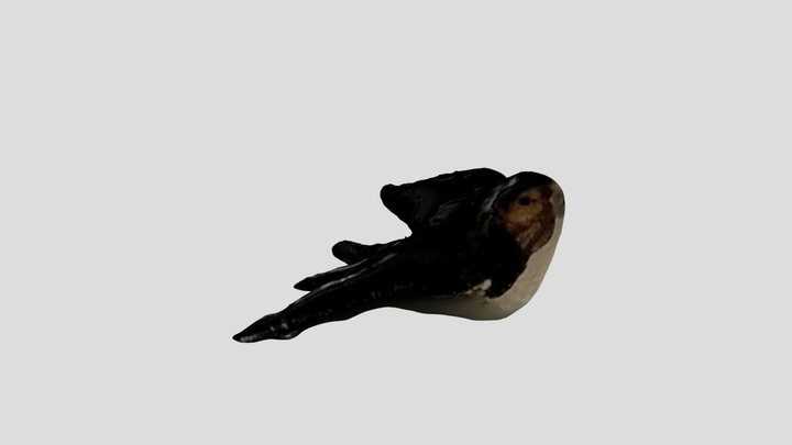 New Qlone 3D Model