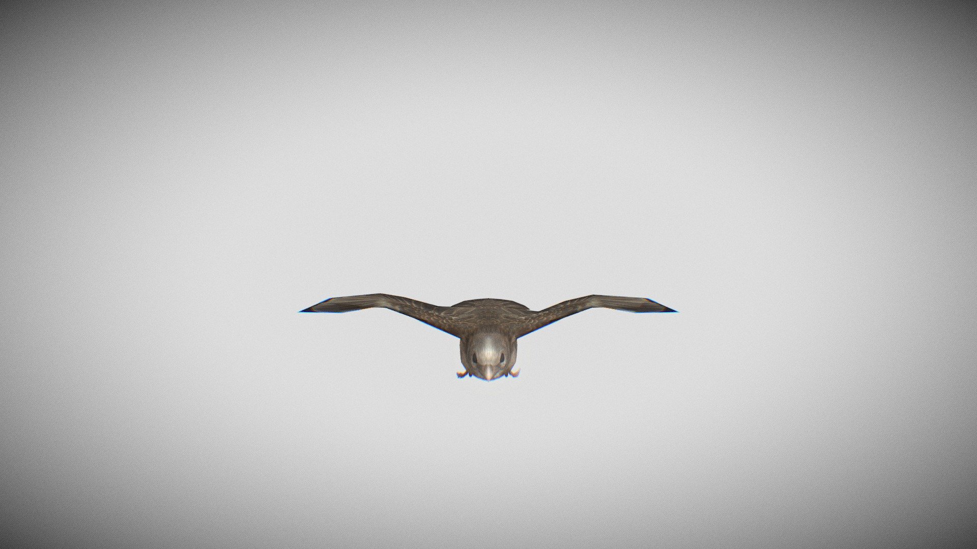sparrow_upload