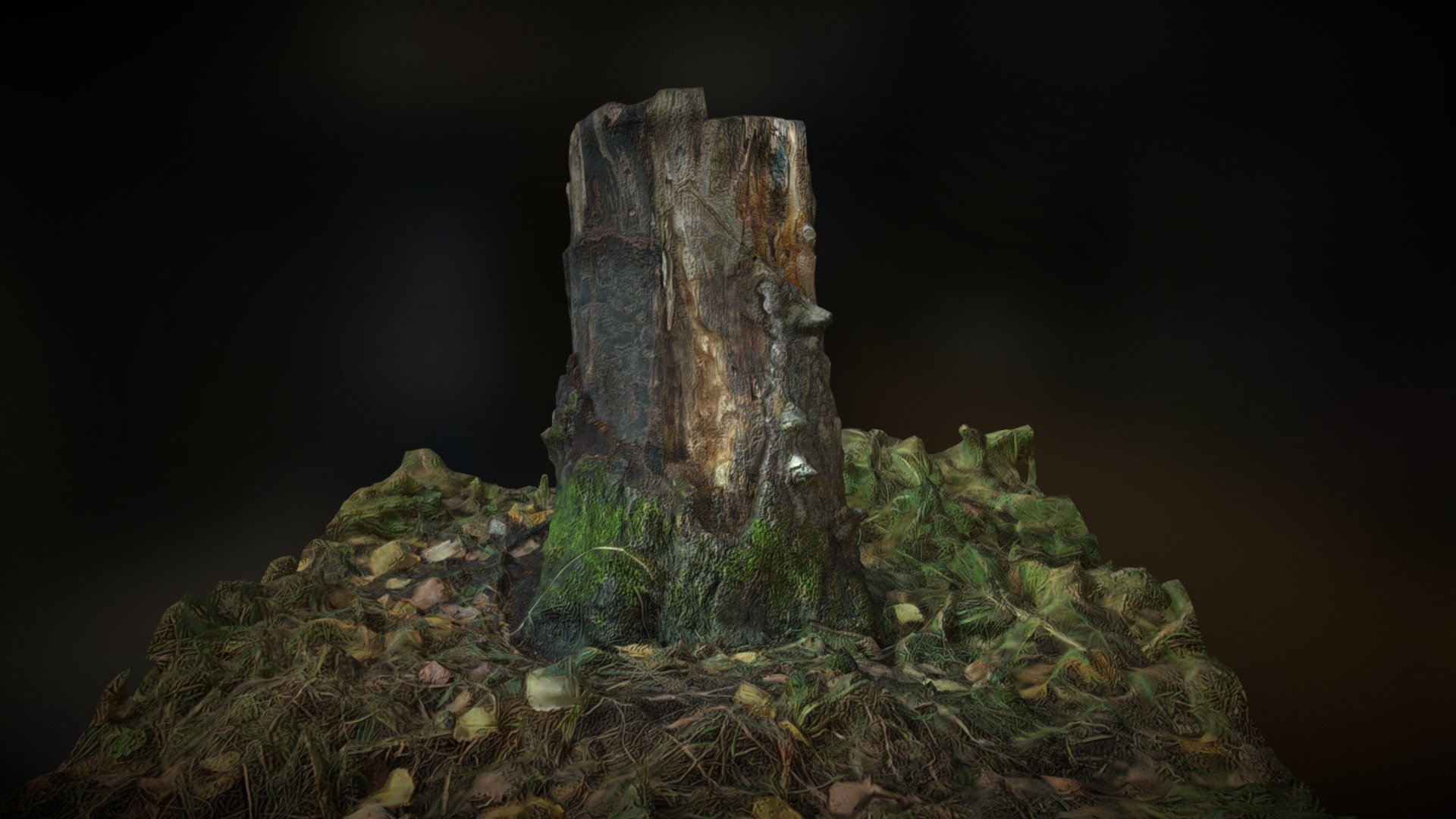 The Stump +