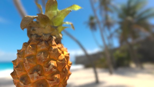 Mini Pineapple 3D Model