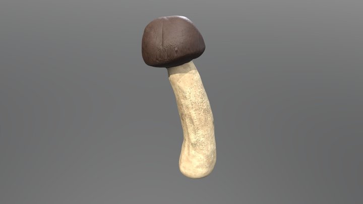 GART_SKWF_TEXTURED_MUSHROOM01 3D Model