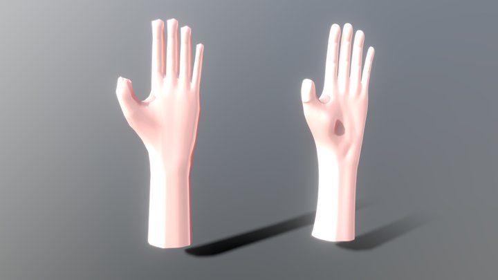 Sketchfab Hand Sculpt 3D Model