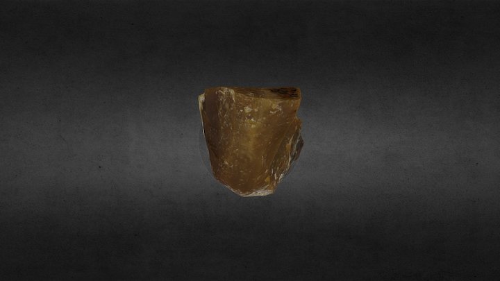 Kostënki 14 bladelet core 3D Model