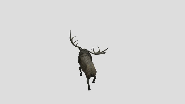 Deer