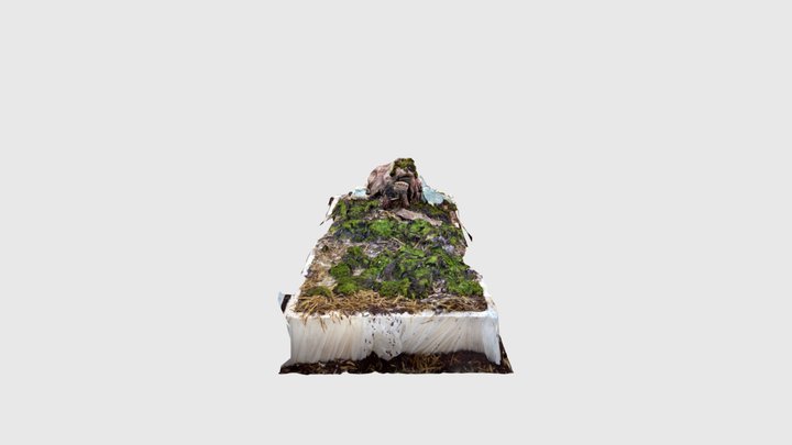goat head 11 3D Model