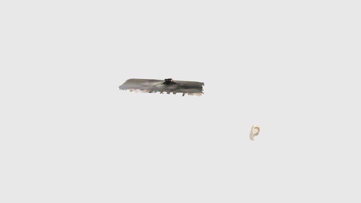 TobiasMitterdorfer1510 3D Model