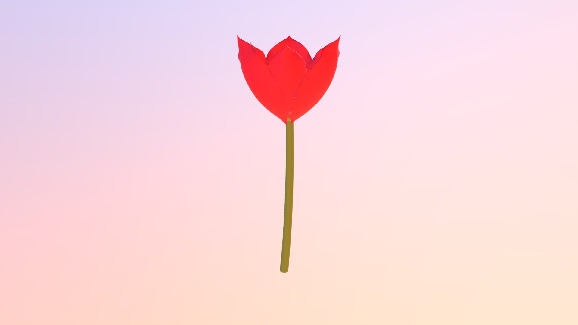 Tulipa agenensis