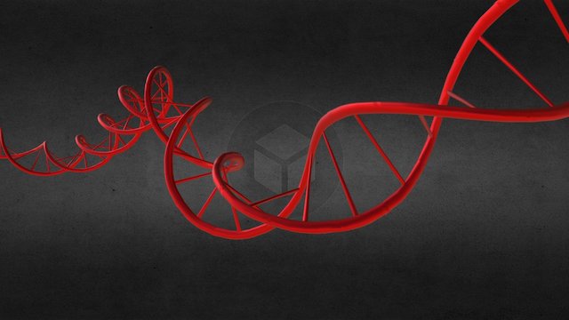 DNA Animation 3D Model