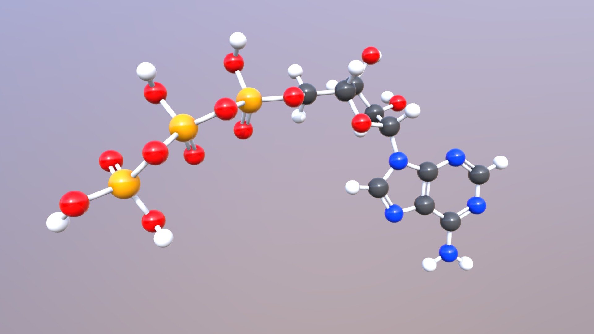 adenozin trifosfat - 3D model by e-sfera (@skolskaknjiga) [1450660 ...