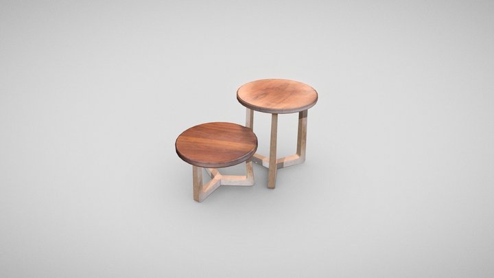 Htech Photoscan | Wooden Short Tables Cleaned 3D Model