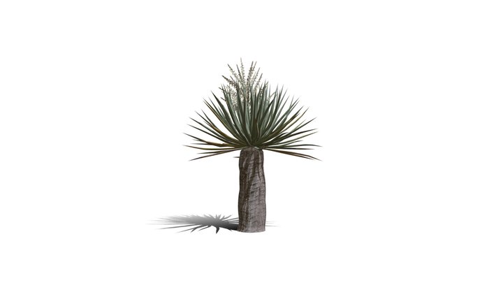 Realistic HD Dragon tree (11/50) 3D Model