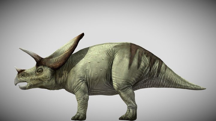 JP:OG Torosaurus – Modelo 3D gratuito STL