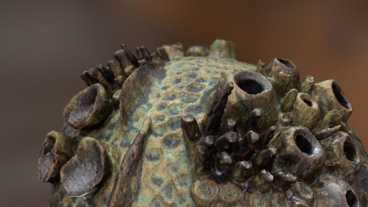 Scan 2022-12-29T09:18:16.303Z 3D Model